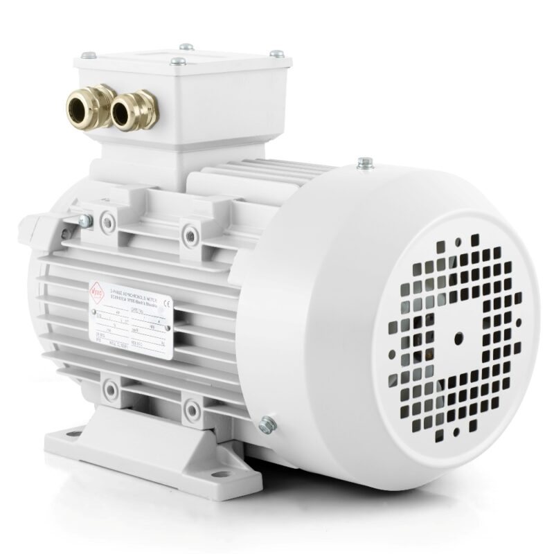 Elektromotor 0,25kW 700 U/min 400V 1AL Schweiz Verkauf