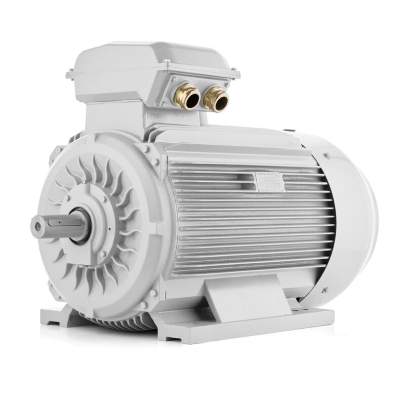 Elektromotor 110kW 3000 U/min, IE3, 400V/690V 3LC Schweiz Verkauf