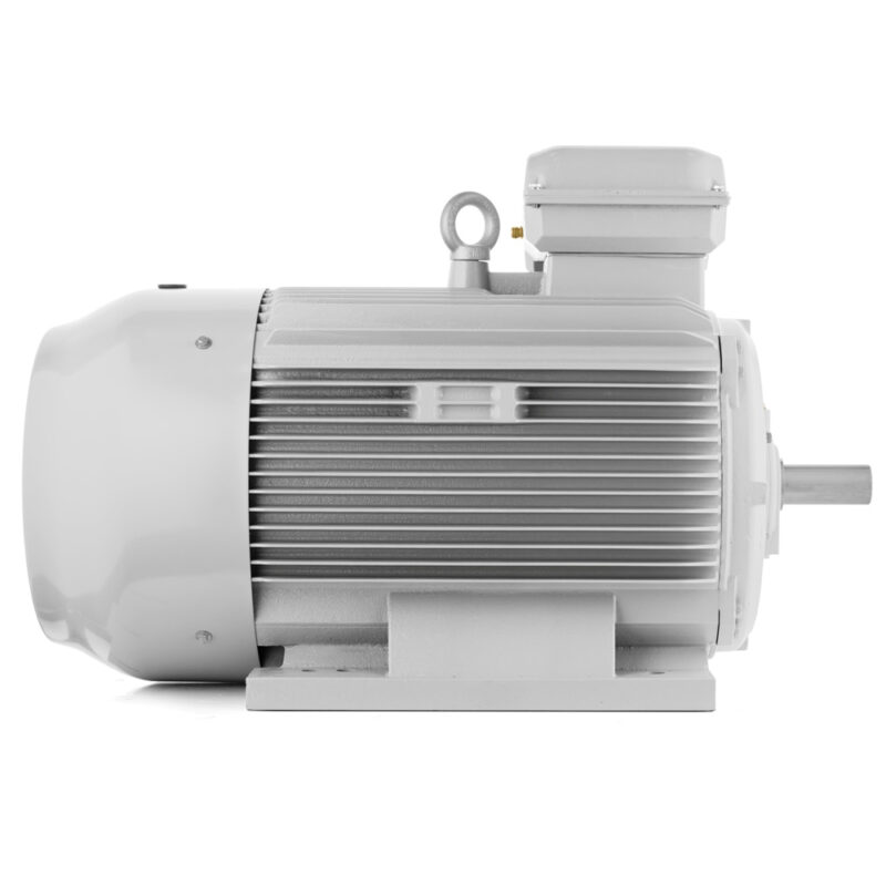 Elektromotor 132kW 1000 U/min, IE3, 400V/690V 3LC Schweiz Verkauf