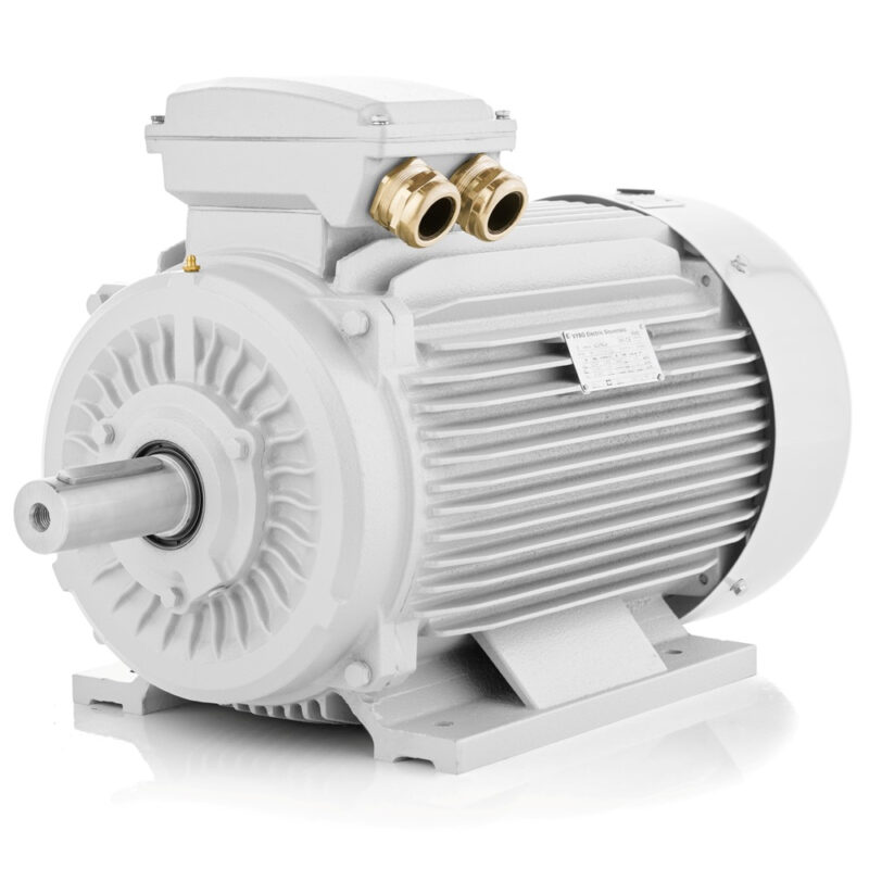 Elektromotor 15kW 3000 U/min, IE3, 400V/690V 3LC Schweiz Verkauf