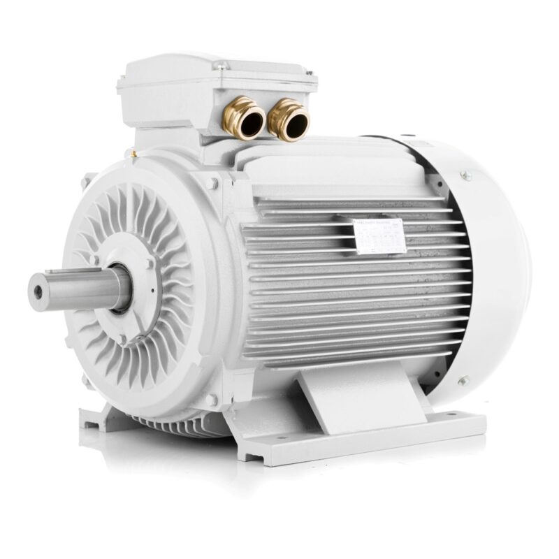 Elektromotor 30kW 1000 U/min, IE3, 400V/690V 3LC Schweiz Verkauf