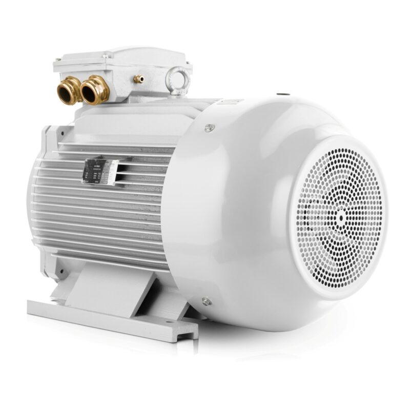 Elektromotor 37kW 1000 U/min, IE3, 400V/690V 3LC Schweiz Verkauf