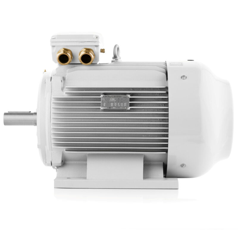 Elektromotor 37kW 1000 U/min, IE3, 400V/690V 3LC Schweiz Verkauf